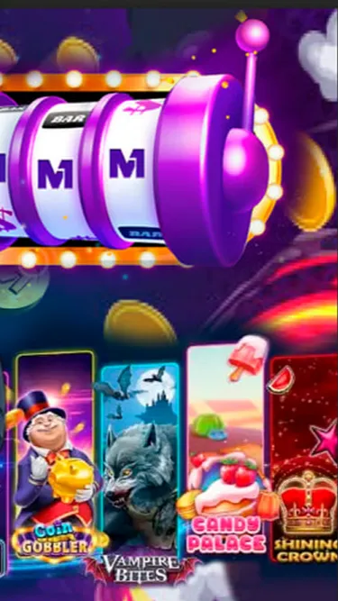 Macky Bet Screenshot
